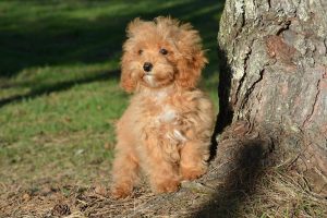 att.6gpzSW-wFbJ3WK6HwUKZ7Cm3dm7euZp2ZQgqUUP6rf4